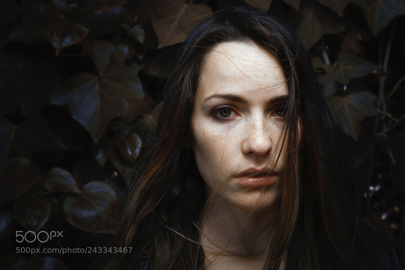 Sony a7R II sample photo. Ebe. photography