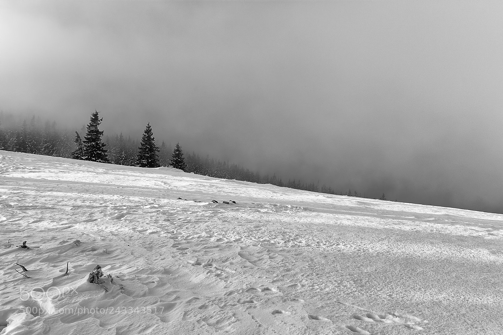 Nikon D7100 sample photo. Snowy silence photography