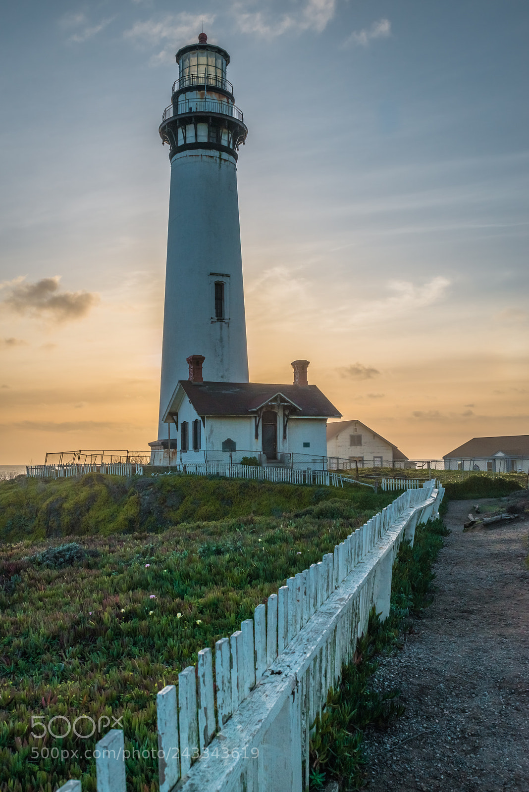 Nikon D800 sample photo. Pigeon point sunset photography
