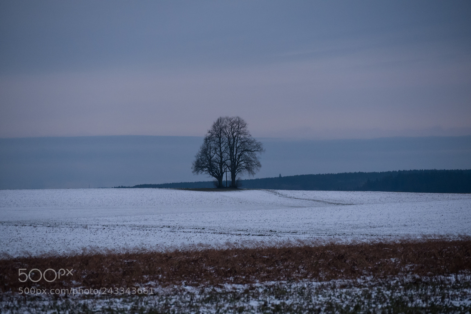 Panasonic DMC-G70 sample photo. Winter landscape photography