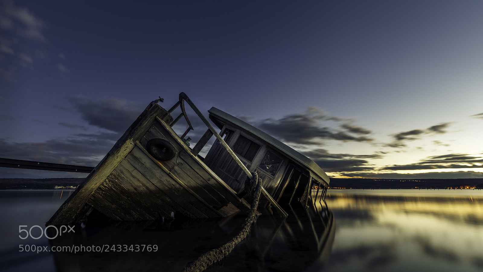 Nikon D800E sample photo. Sea wolf photography