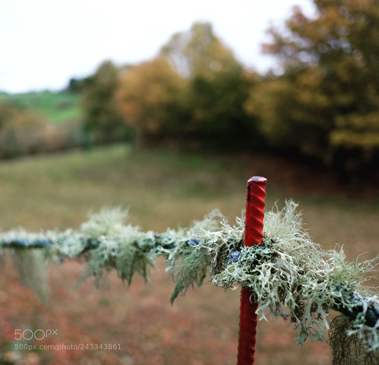 Fujifilm X-T10 sample photo. Untitled photography