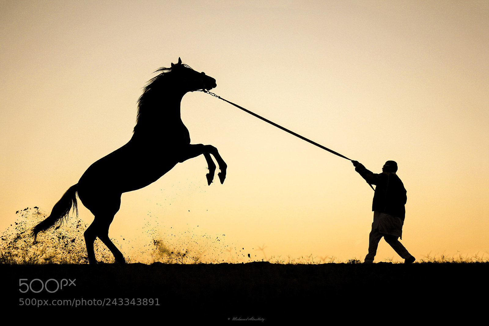 Canon EOS 60D sample photo. Silhouette photography