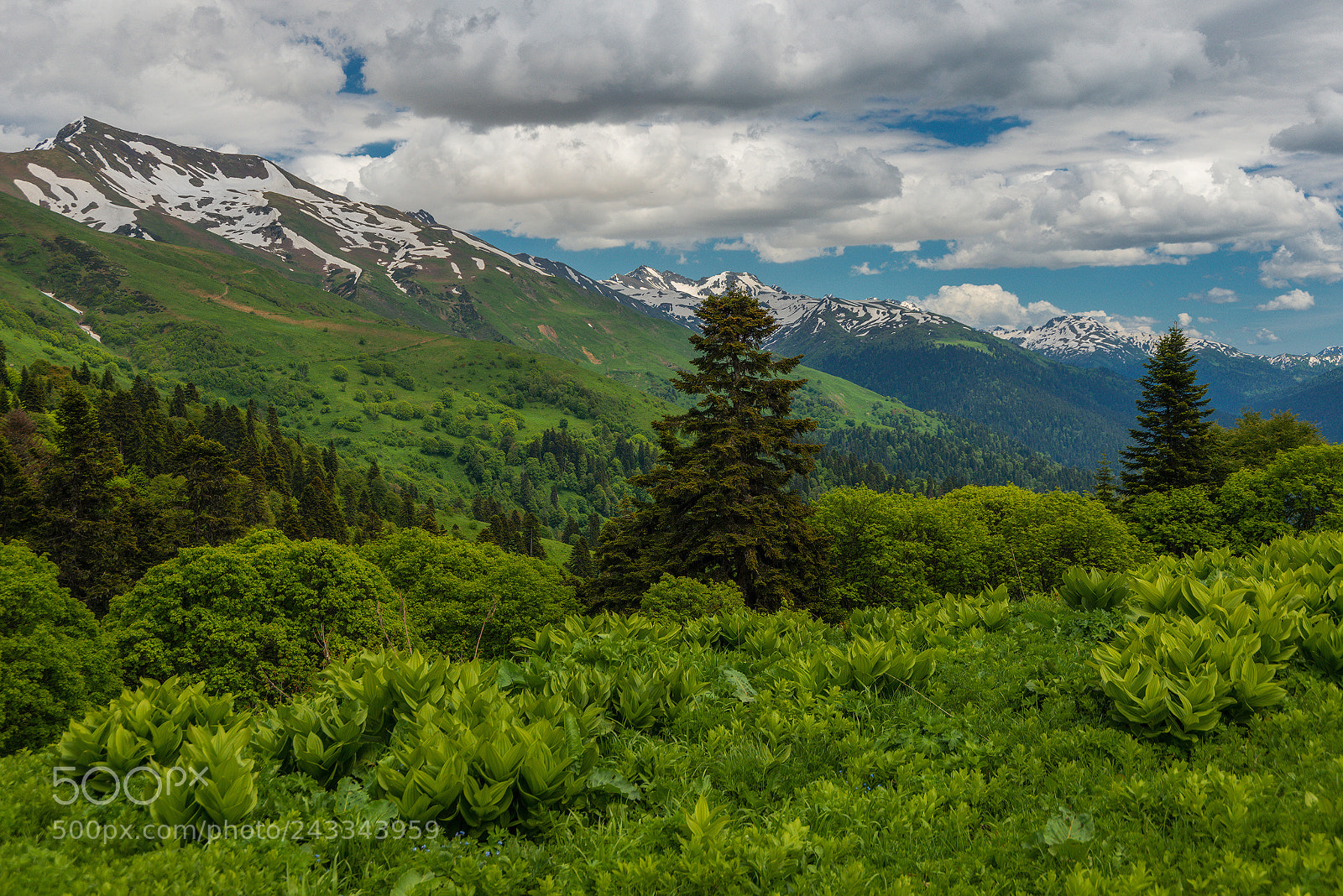 Nikon D800 sample photo. Caucasian ridges photography