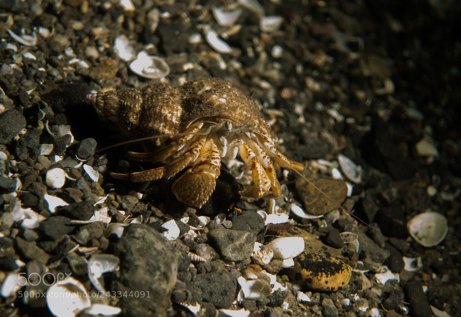Sony DSC-RX100M5 sample photo. Diving in norway photography