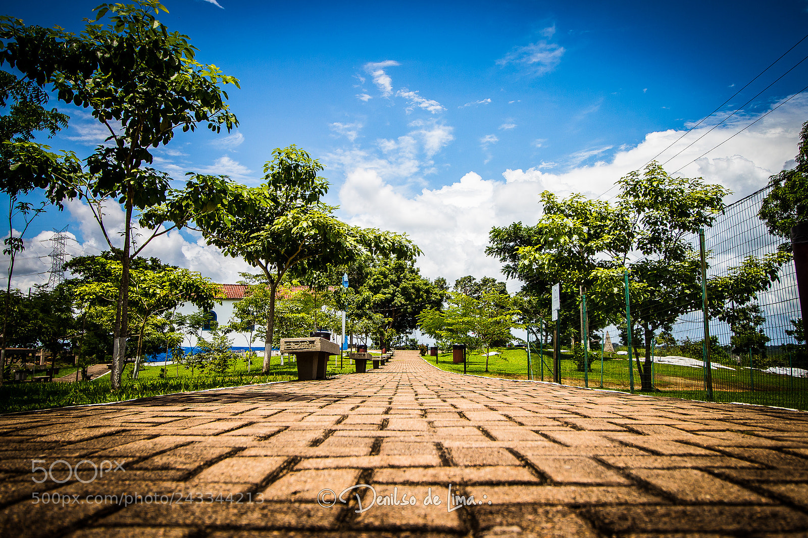 Canon EOS 700D (EOS Rebel T5i / EOS Kiss X7i) sample photo. Along the path photography