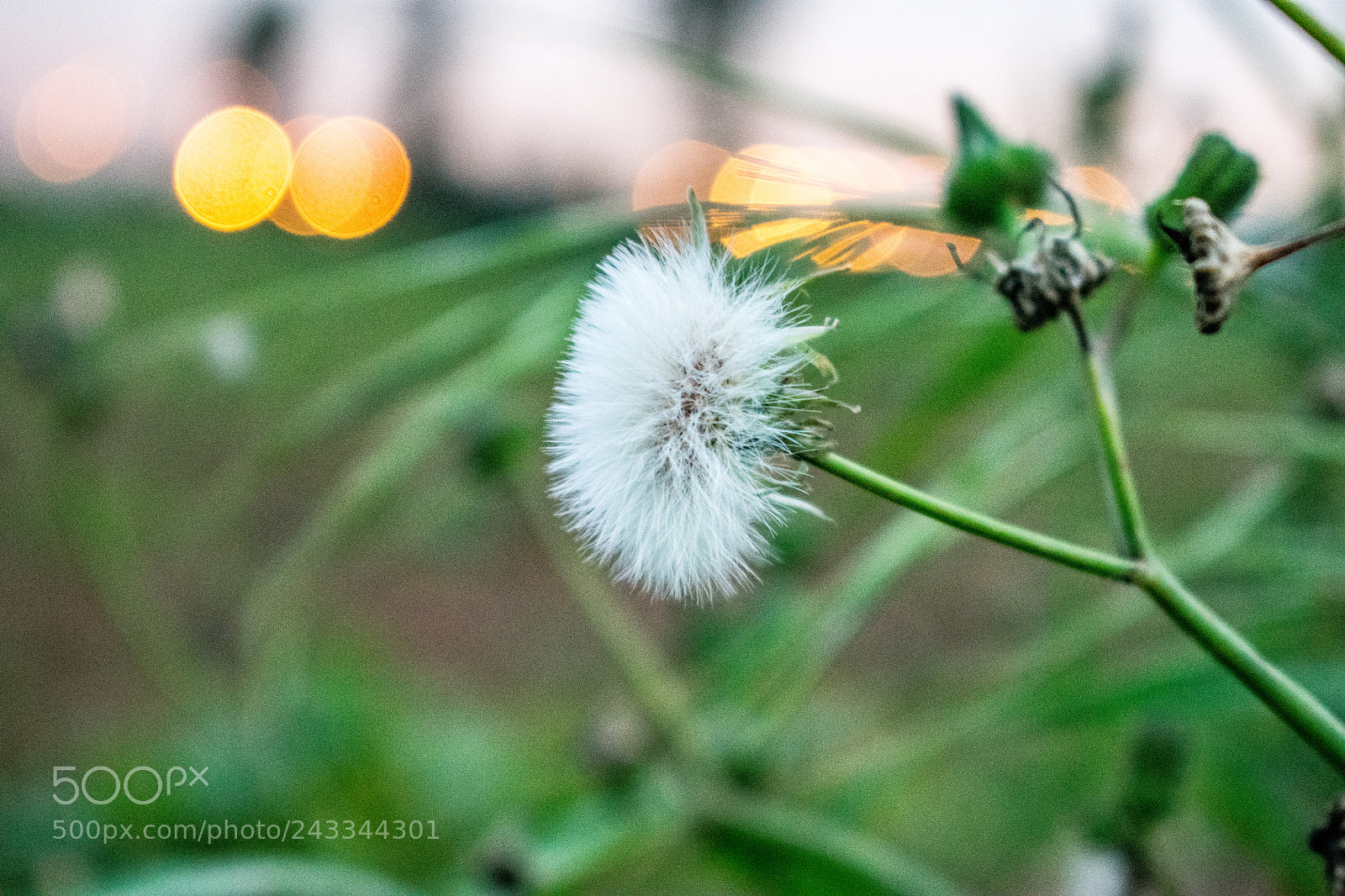 Nikon D3400 sample photo. Nice one! photography