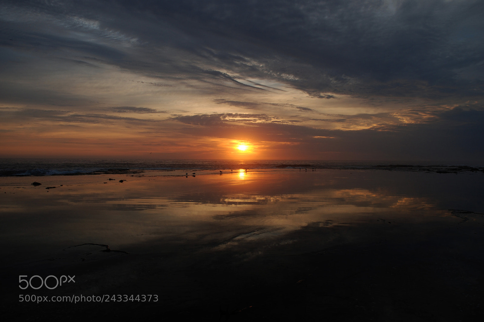 Nikon D80 sample photo. Reflected photography