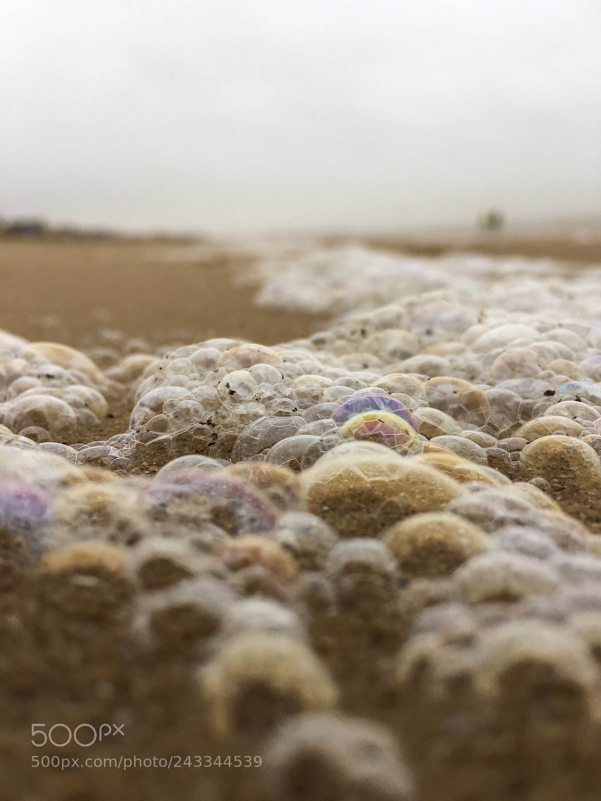 Apple iPhone 6s sample photo. Ecume de mer photography