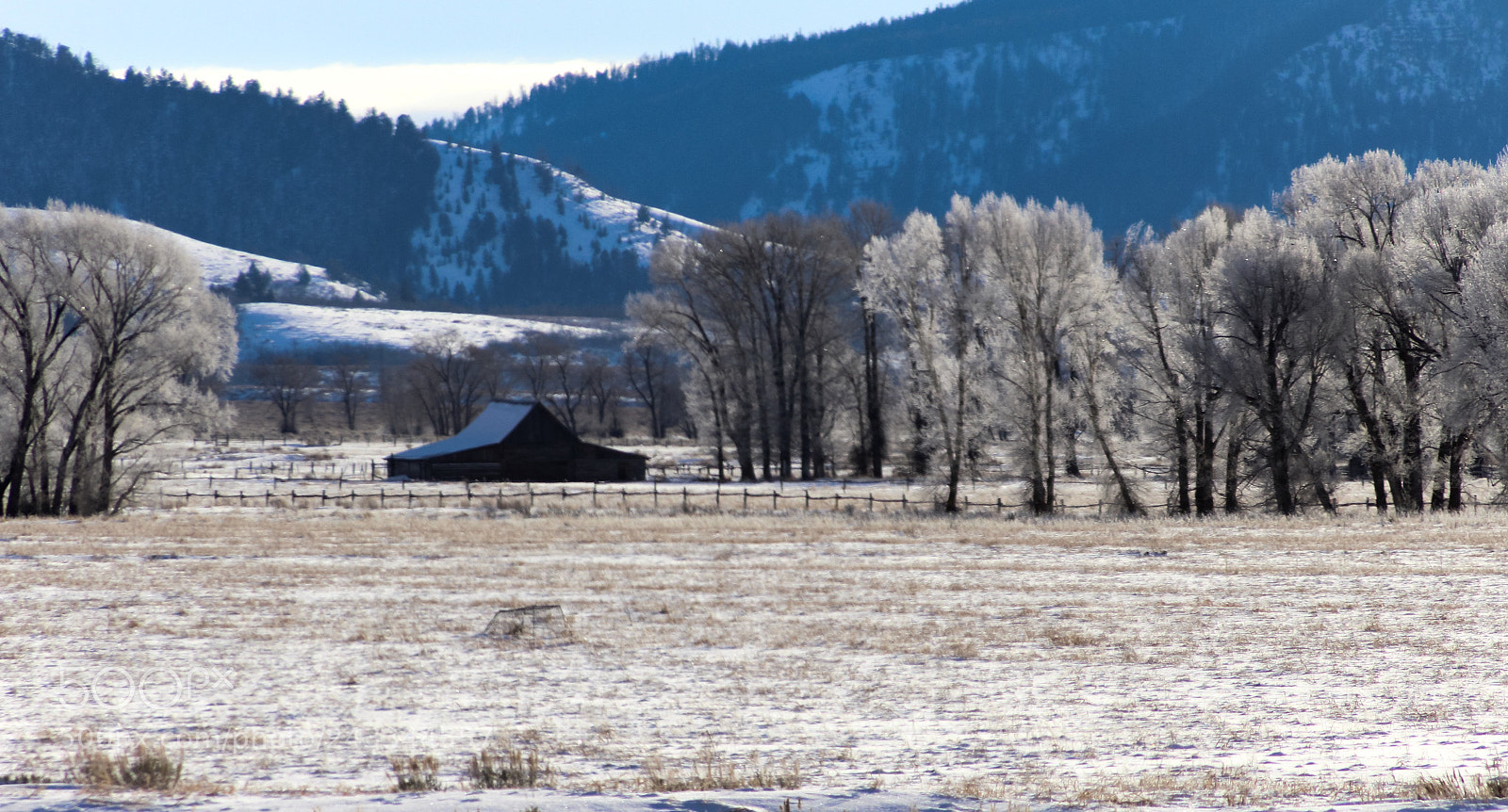 Canon EOS 1300D (EOS Rebel T6 / EOS Kiss X80) sample photo. Frosty morning photography