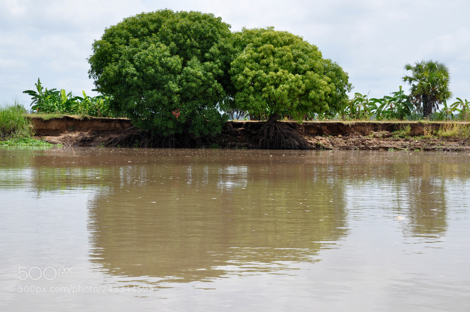 Nikon D5000 sample photo. Benue river in cameroon photography