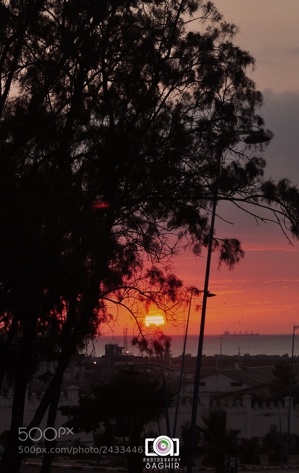 Nikon D90 sample photo. Untitled photography