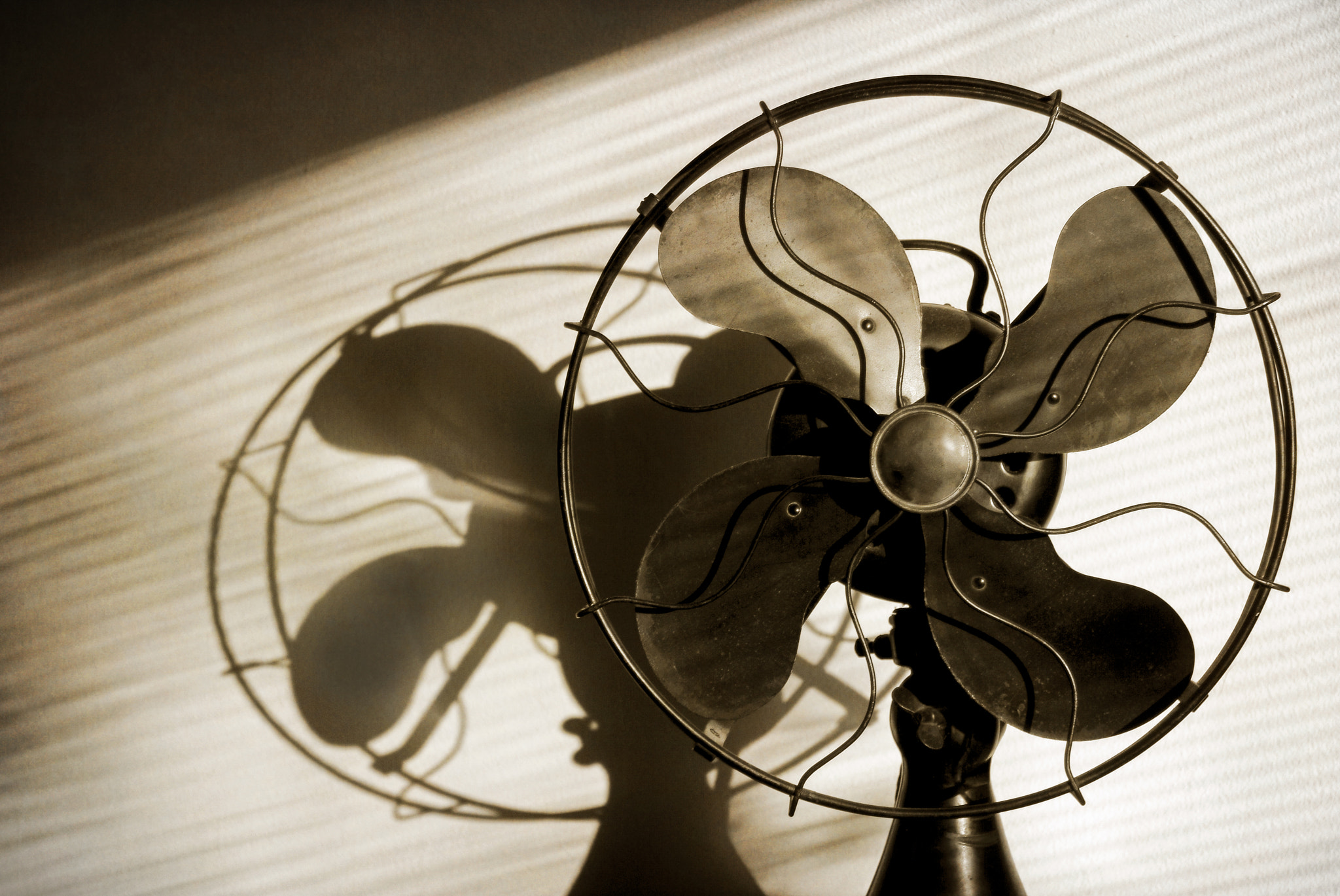 Fujifilm FinePix S2 Pro sample photo. Film noir take on an antique fan photography