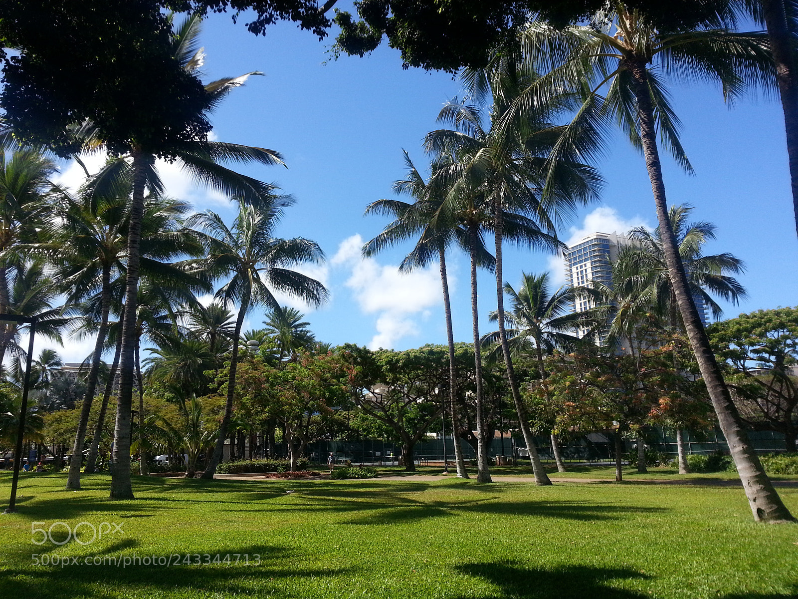 Samsung Galaxy Note2 sample photo. Untitled photography