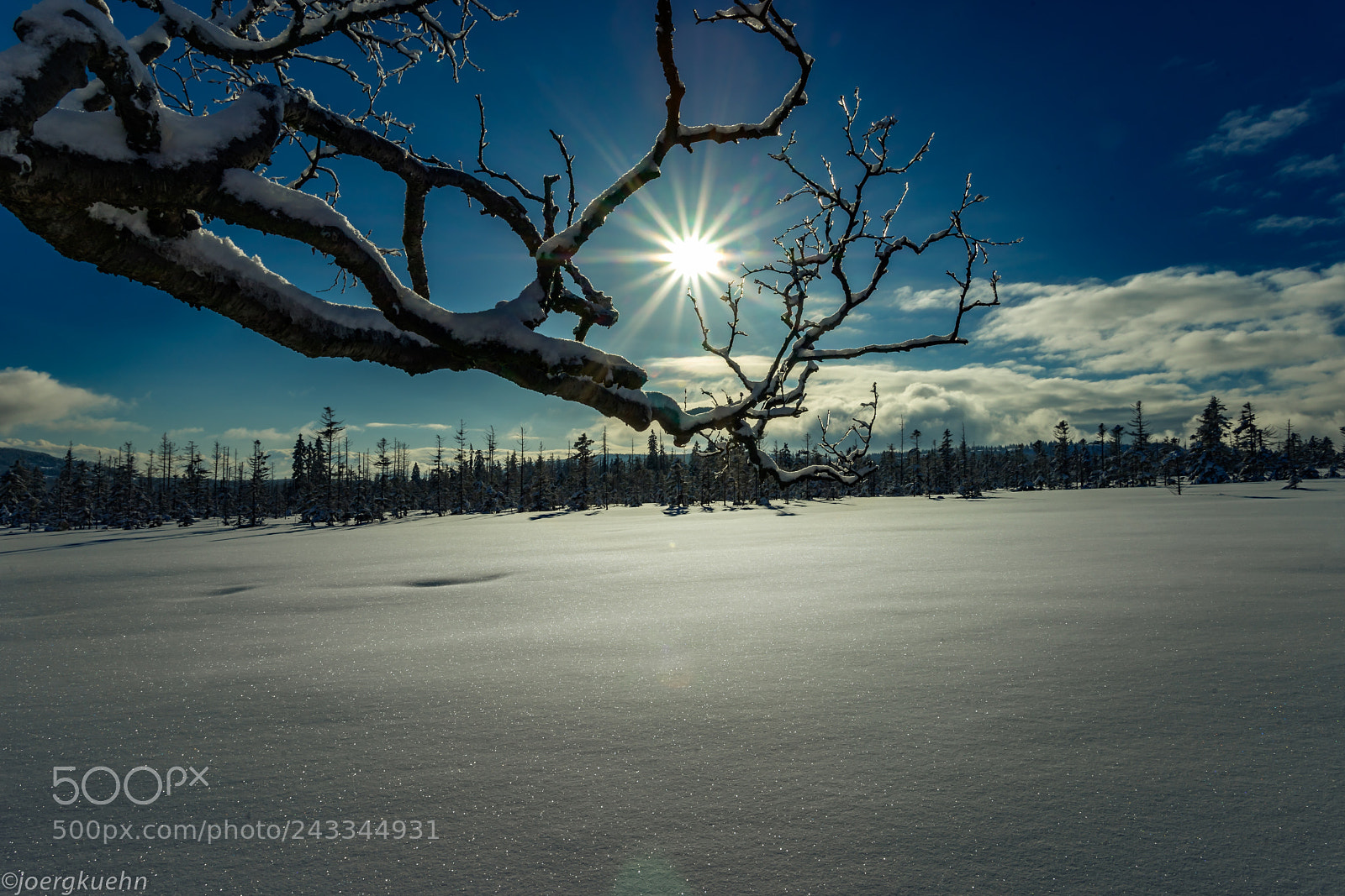 Sony a7 sample photo. Wintersun photography