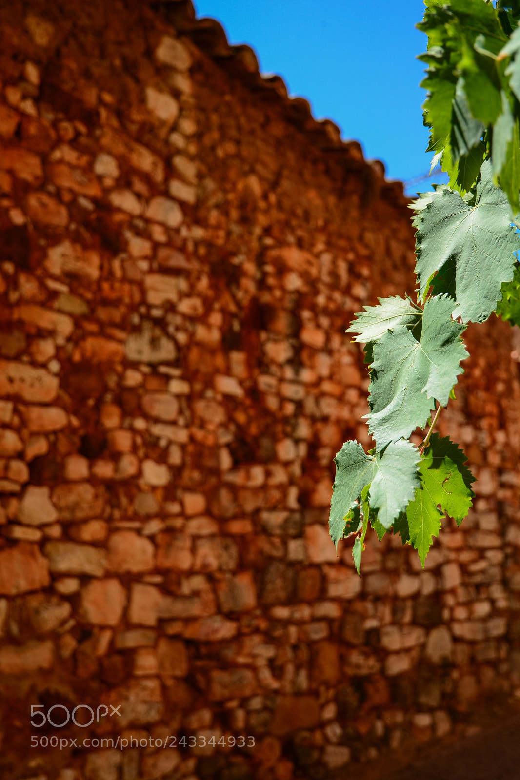 Nikon D7100 sample photo. Wine @roussillon photography