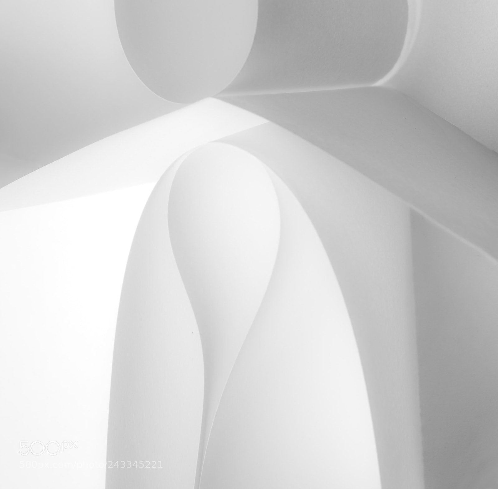 Pentax K-7 sample photo. Structures of life 002 photography