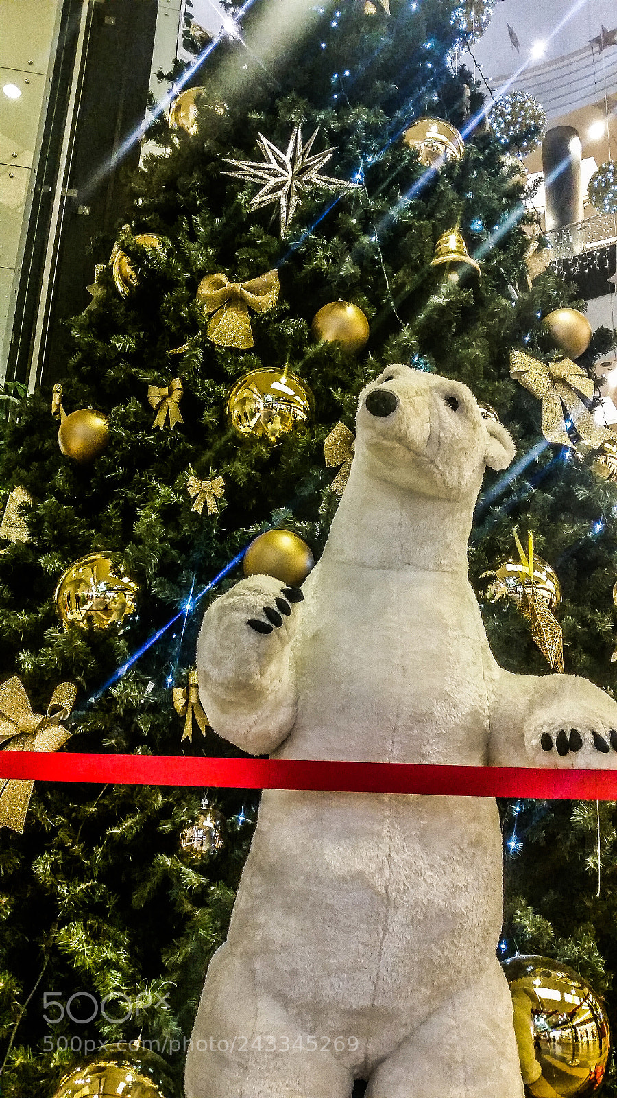 Samsung Galaxy S5 sample photo. Christmas bear photography