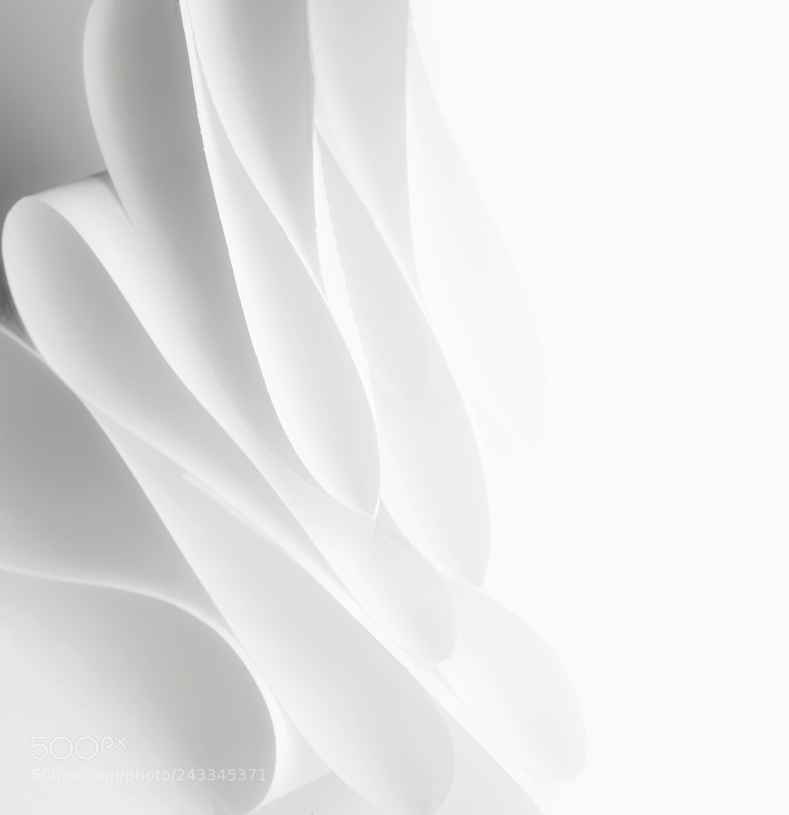 Pentax K-7 sample photo. Structures of life 003 photography