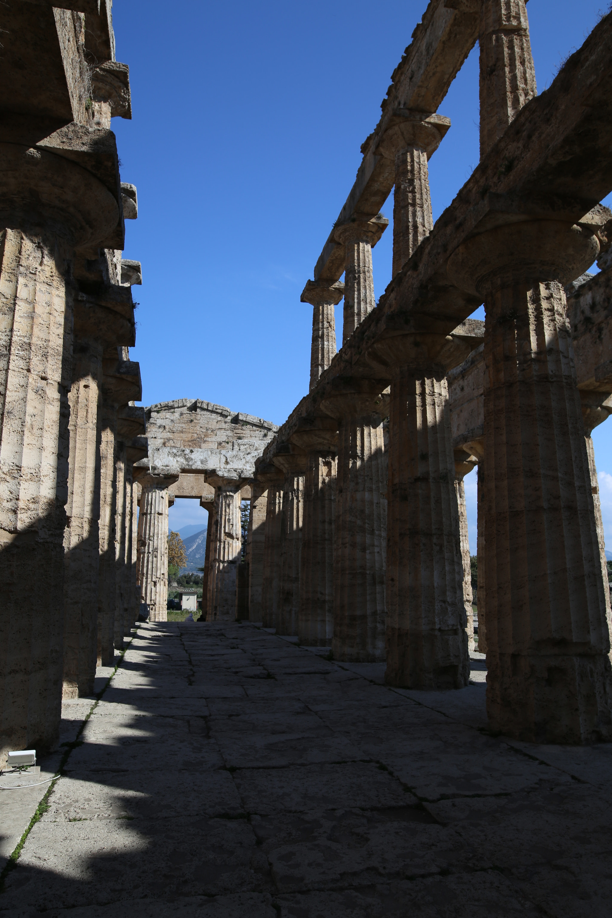 Canon EOS 6D + Sigma 24mm F1.4 DG HSM Art sample photo. Paestum photography