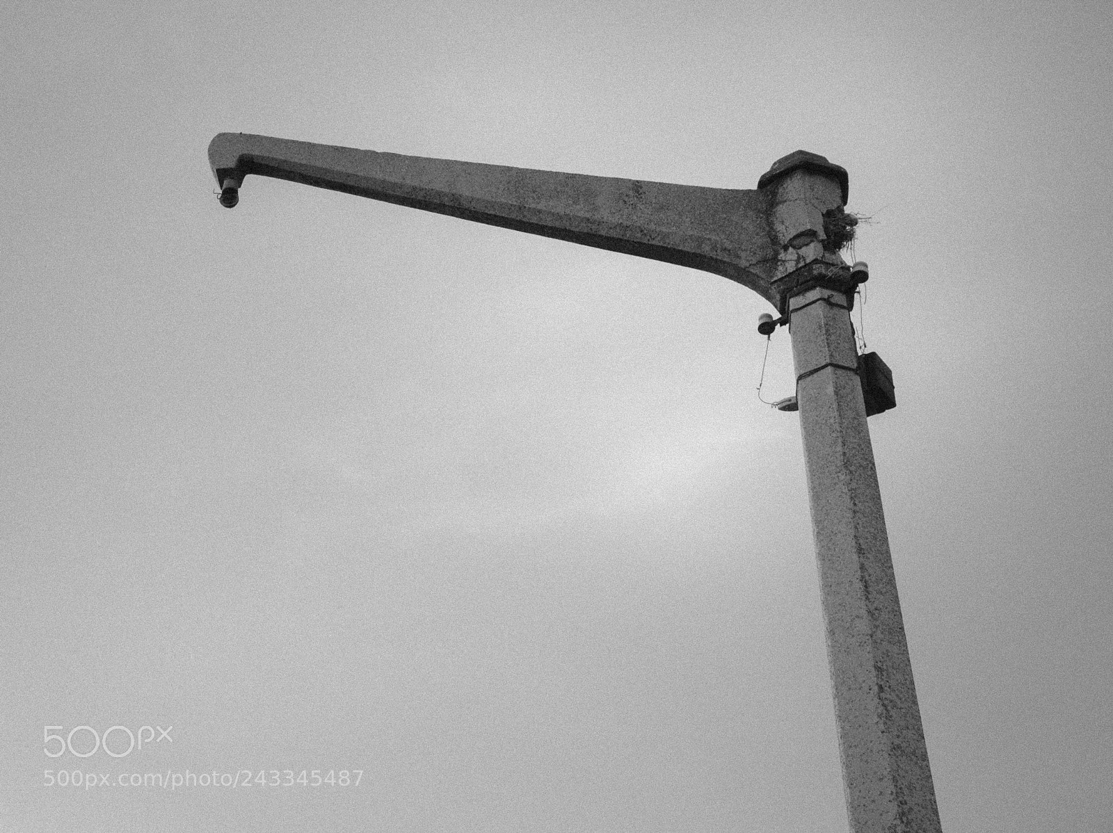Nikon D3100 sample photo. Ave de presa photography