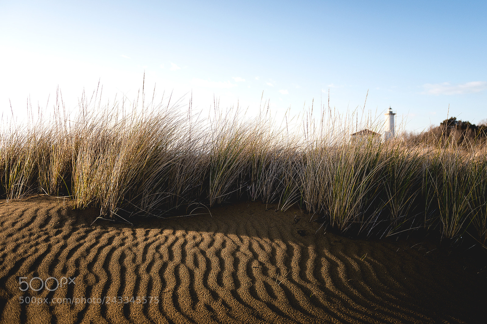 Nikon D810 sample photo. Lighthouse photography