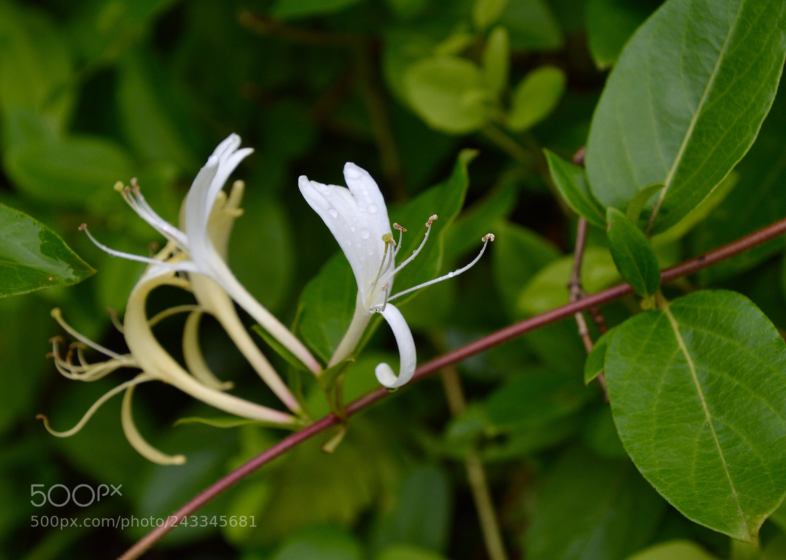 Nikon D3200 sample photo. Untitled photography
