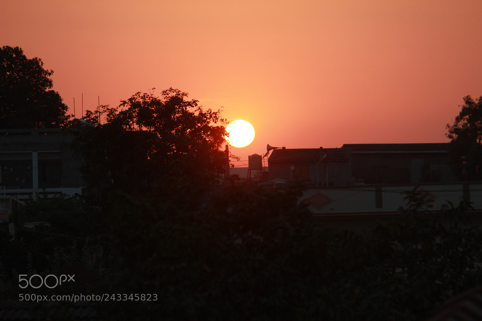 Canon EF-S 55-250mm F4-5.6 IS II sample photo. Untitled photography