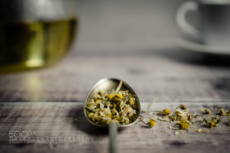 Sony SLT-A99V sample photo. Camomile flowers photography
