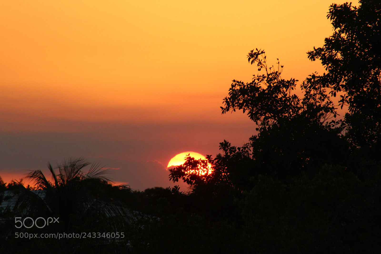 Canon EOS 1300D (EOS Rebel T6 / EOS Kiss X80) sample photo. Fireball photography
