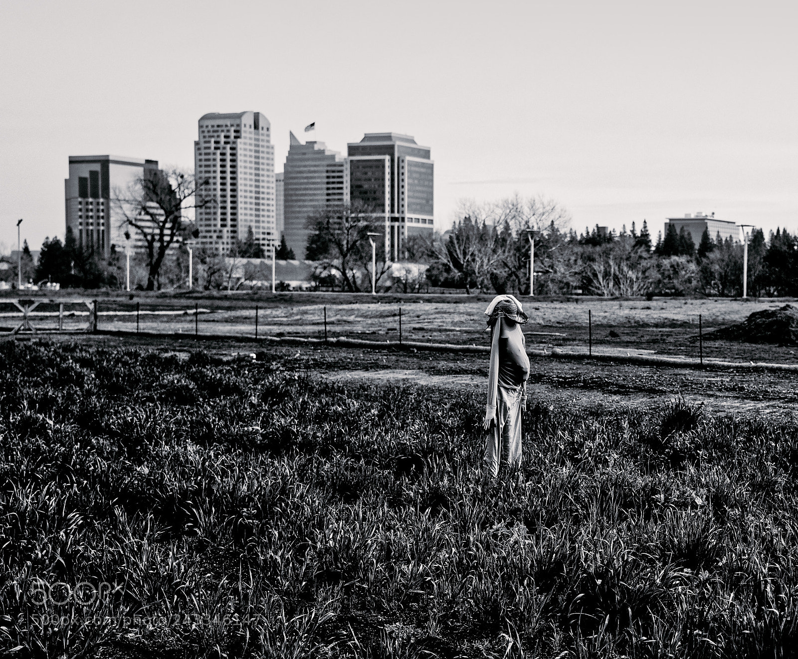 Leica M (Typ 240) sample photo. Untitled 42 photography