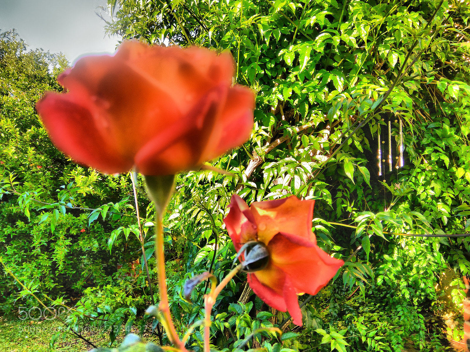 Xiaomi Redmi Note3 sample photo. Magic corner photography