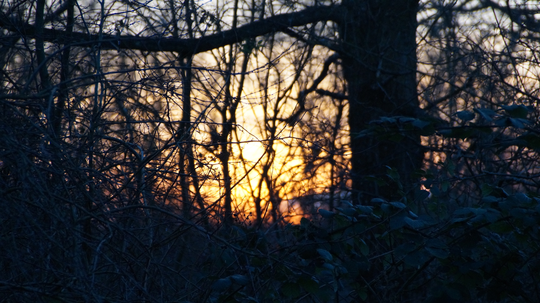 Sony DT 18-200mm F3.5-6.3 sample photo. Sunset in denmark photography