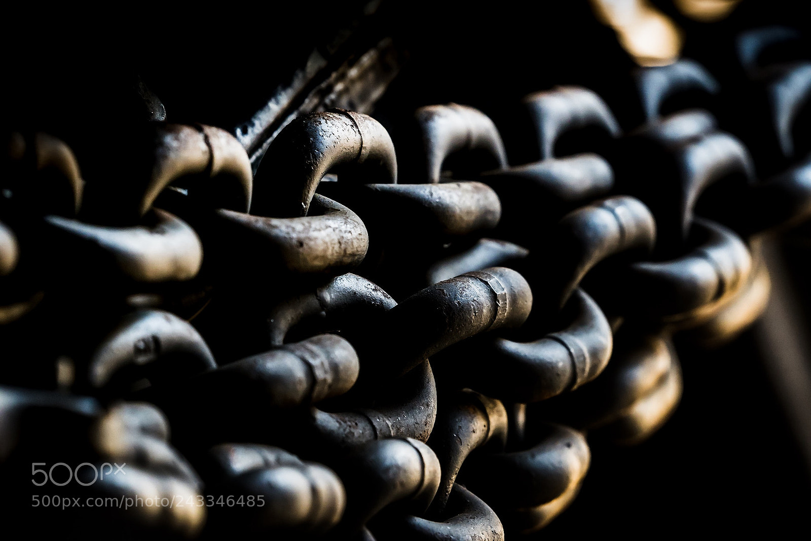 Nikon D5500 sample photo. Link by link photography