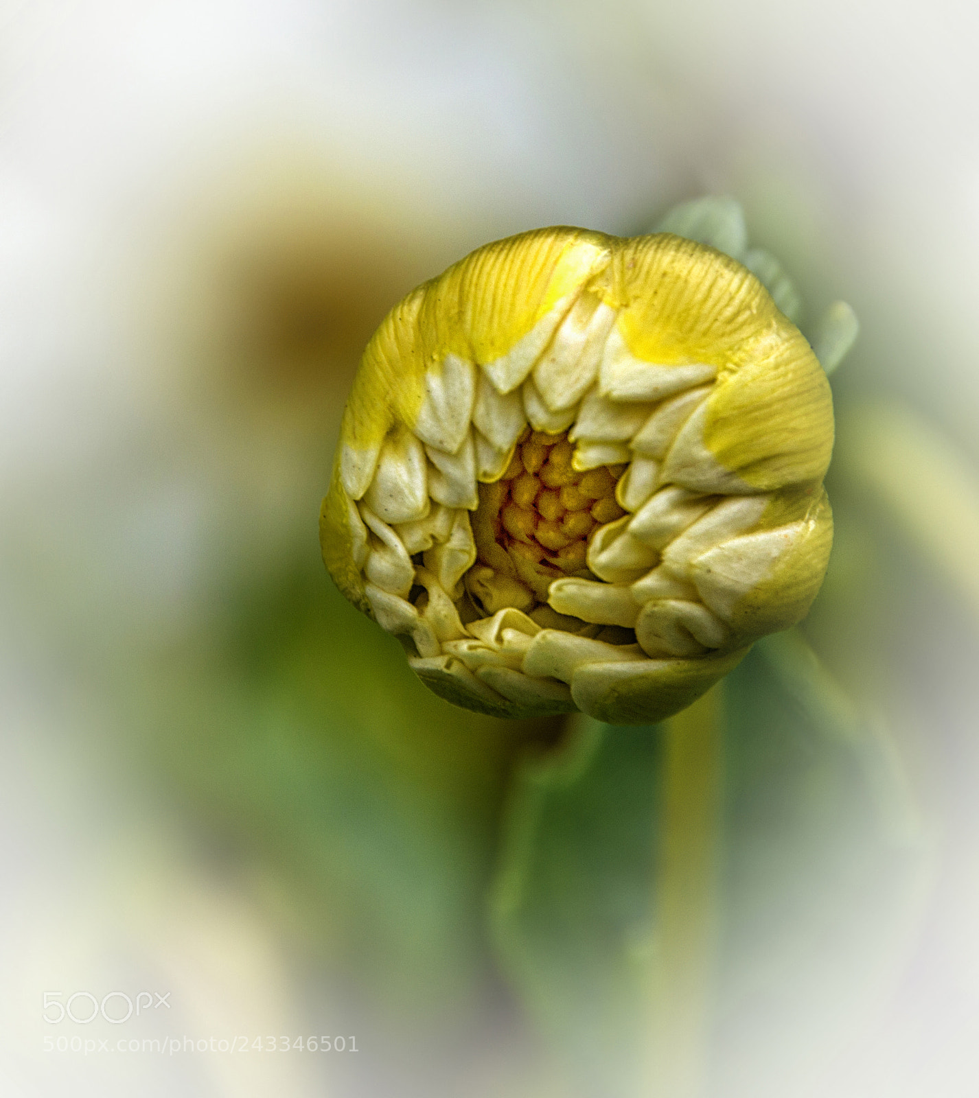 Nikon D3200 sample photo. Waiting to open photography