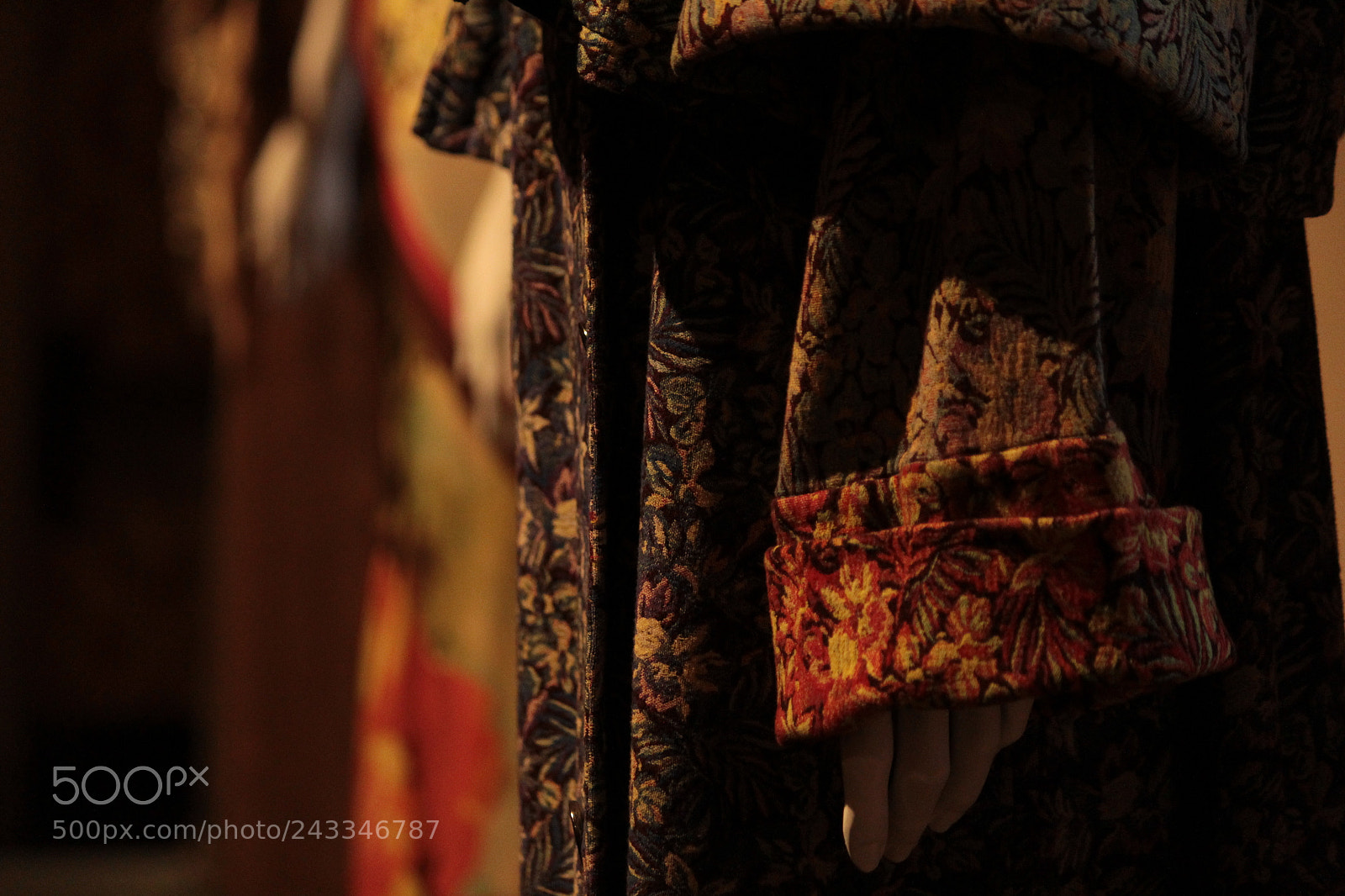 Canon EF-S 55-250mm F4-5.6 IS II sample photo. Style 1 photography