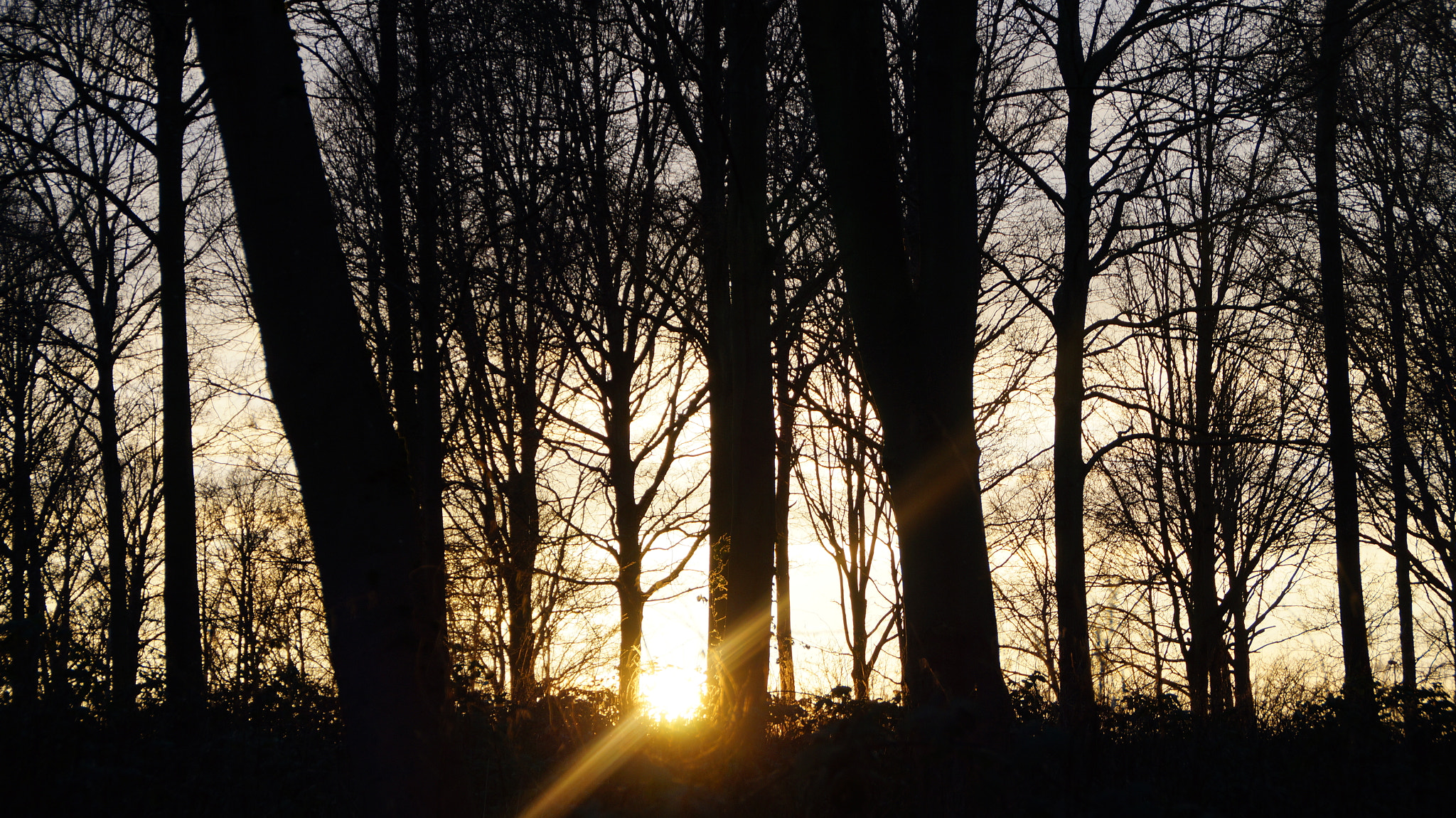 Sony DT 18-200mm F3.5-6.3 sample photo. Last light photography