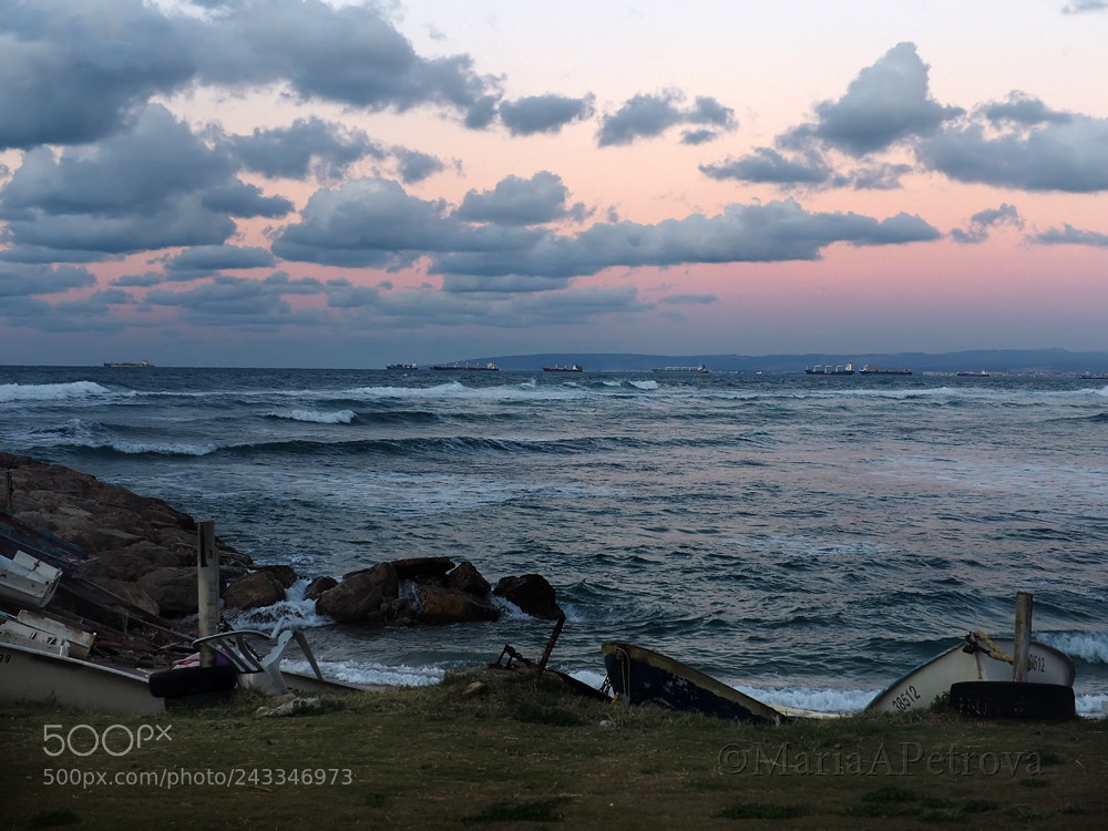 Olympus OM-D E-M5 II sample photo. Sunset photography