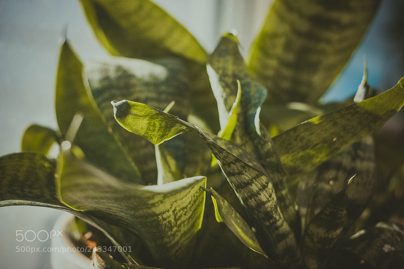 Canon EOS 20D sample photo. Untitled photography