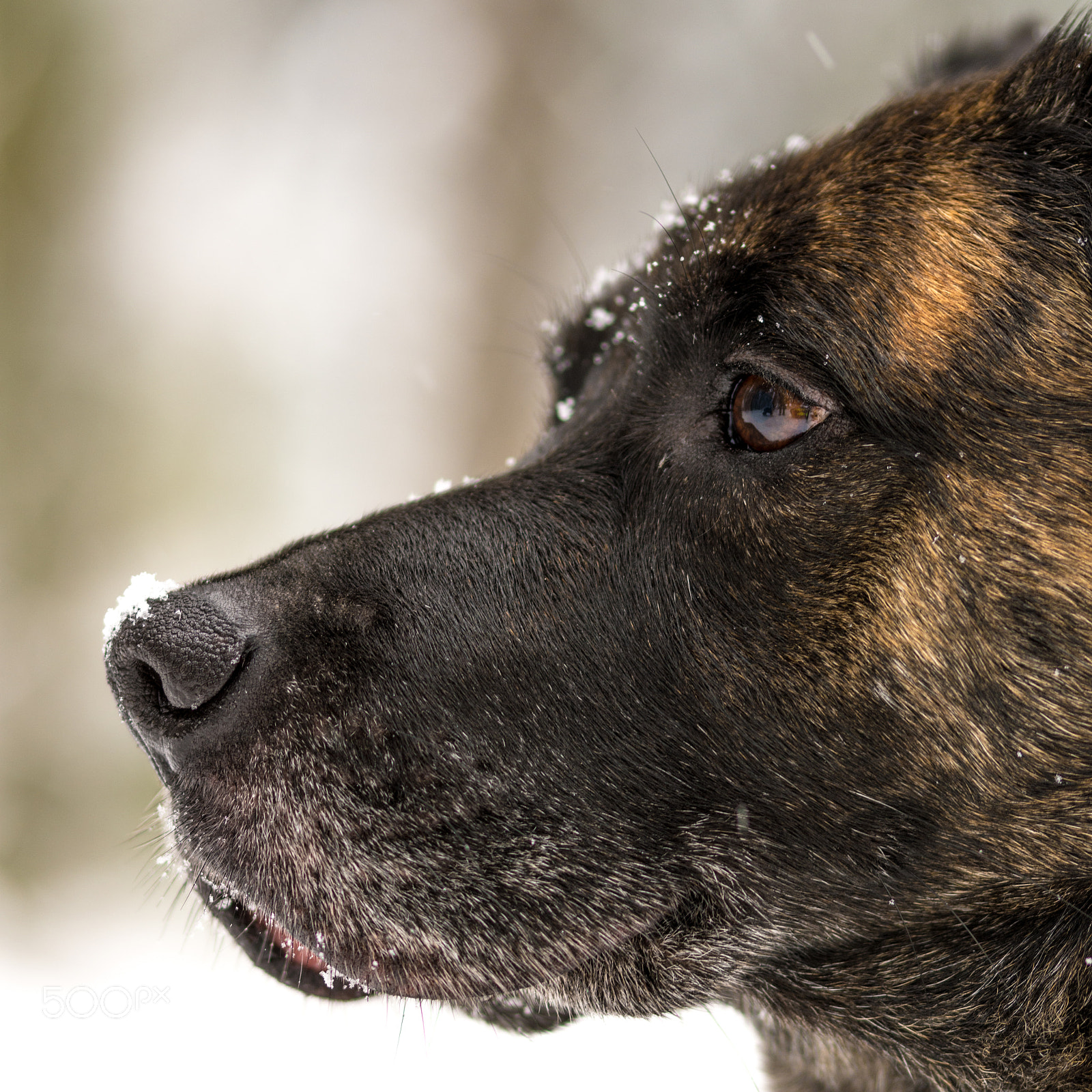Nikon D7200 sample photo. Lyla photography