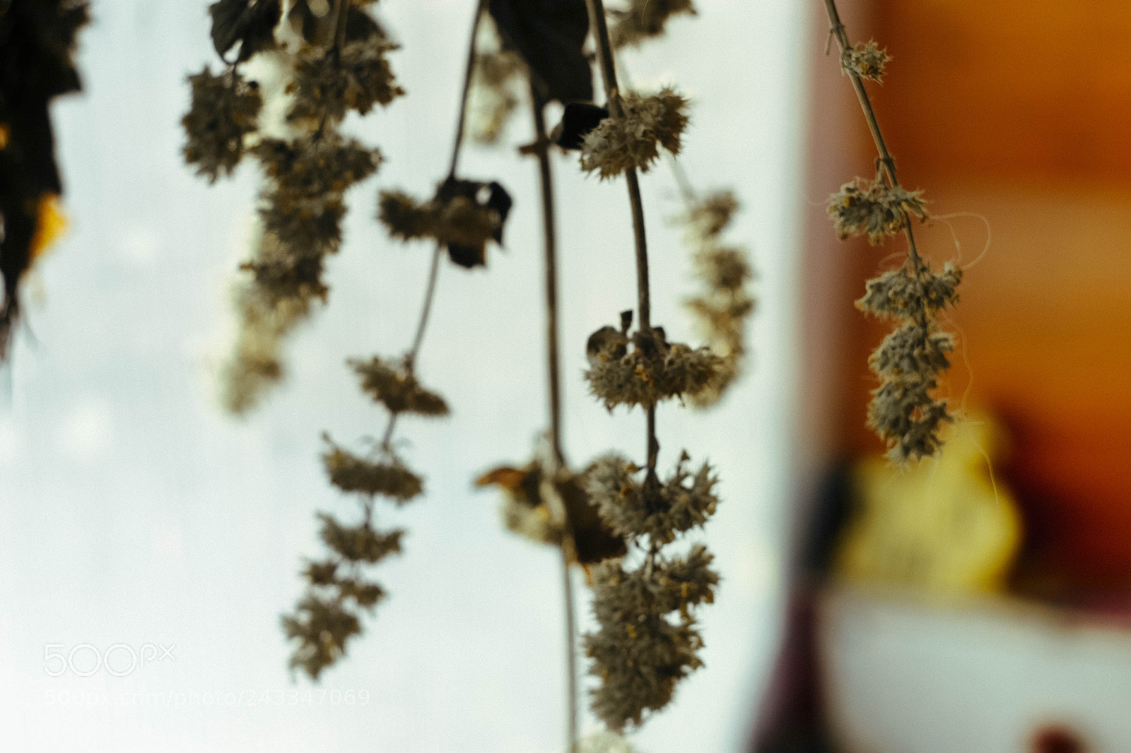 Canon EOS 20D sample photo. Untitled photography