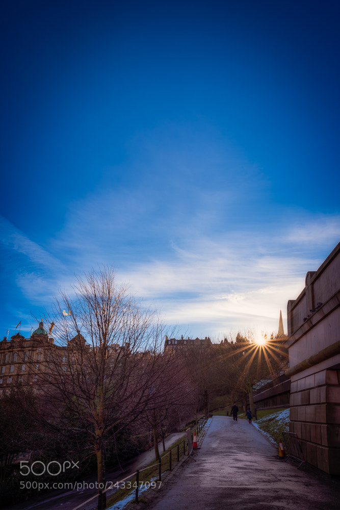 Nikon D810 sample photo. Midwinter sun in the photography
