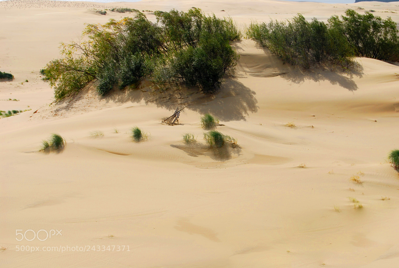 Nikon D60 sample photo. Sand photography