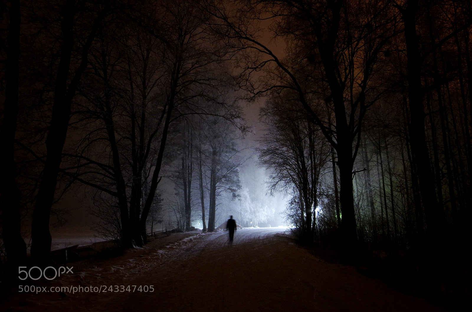 Pentax K-3 II sample photo. Winter night photography