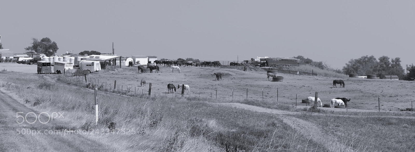 Nikon D3400 sample photo. Horse ranch photography
