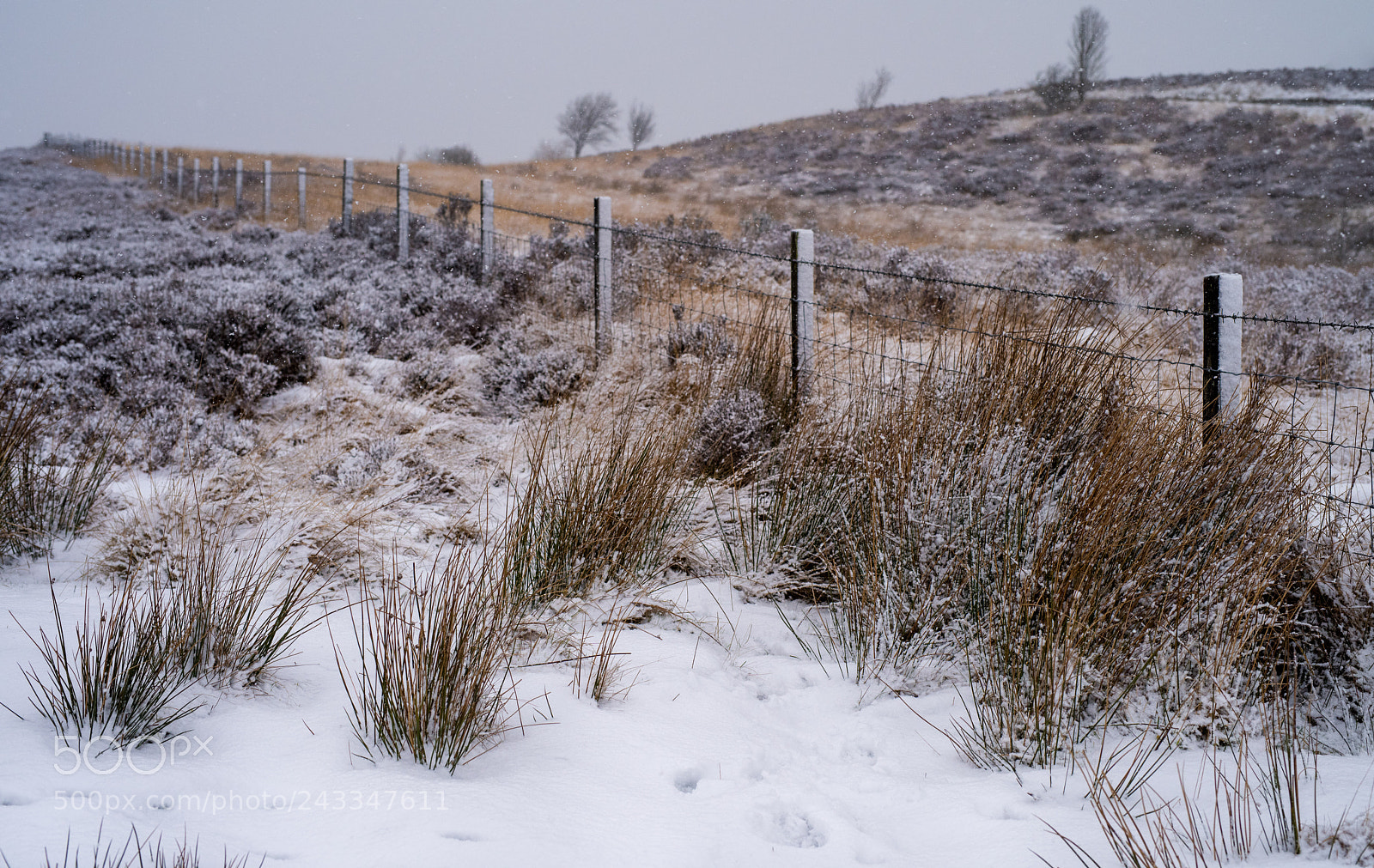 Nikon D810 sample photo. Howarth photography