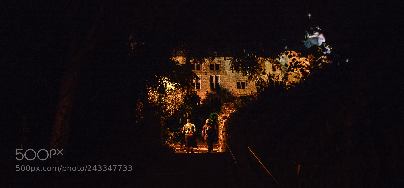 Nikon D800 sample photo. Mg photography