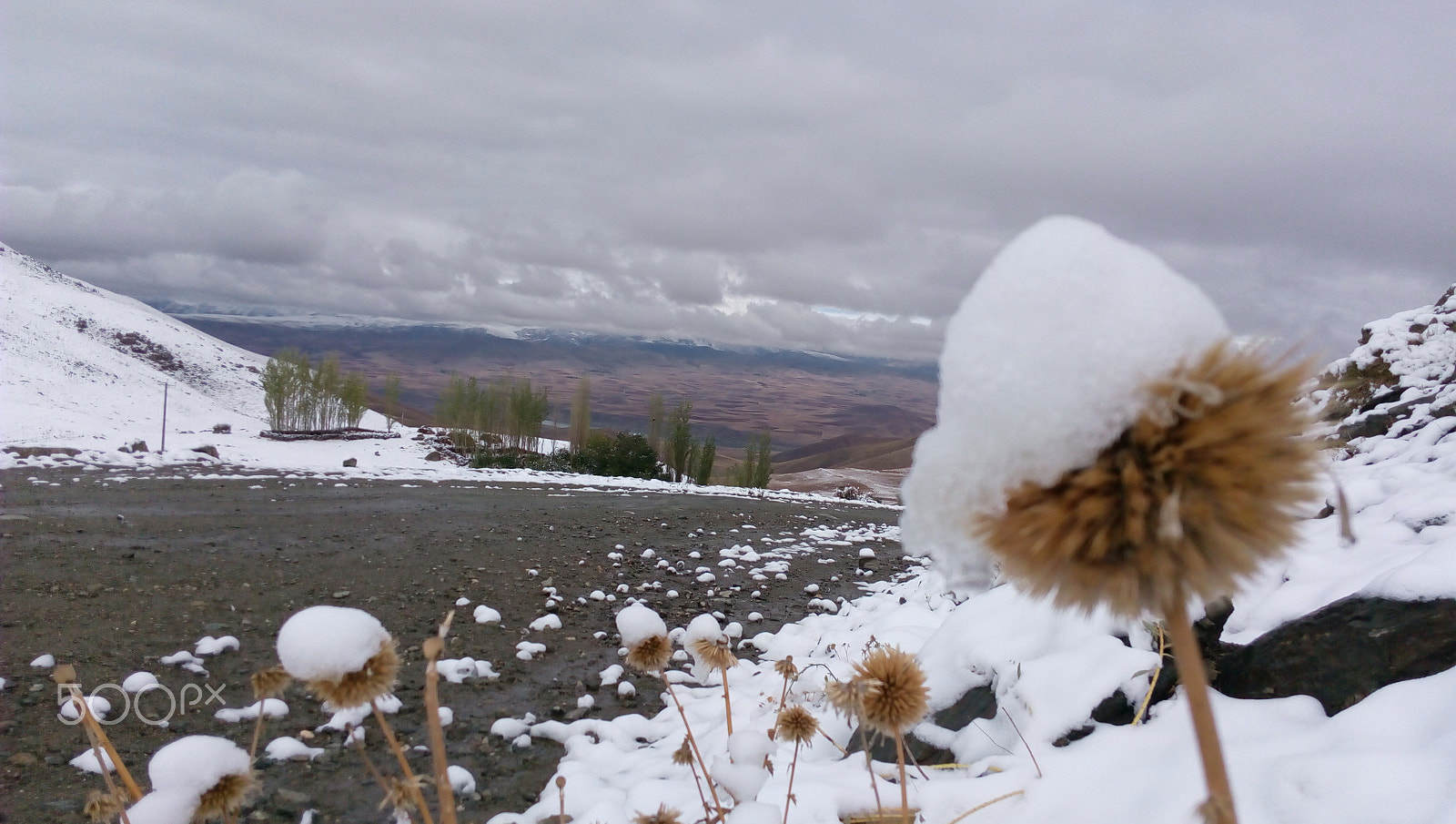 Lenovo P70-A sample photo. Salmas - snow photography