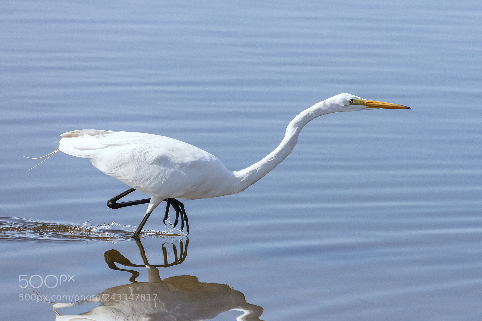 Canon EOS 5DS sample photo. Focused photography