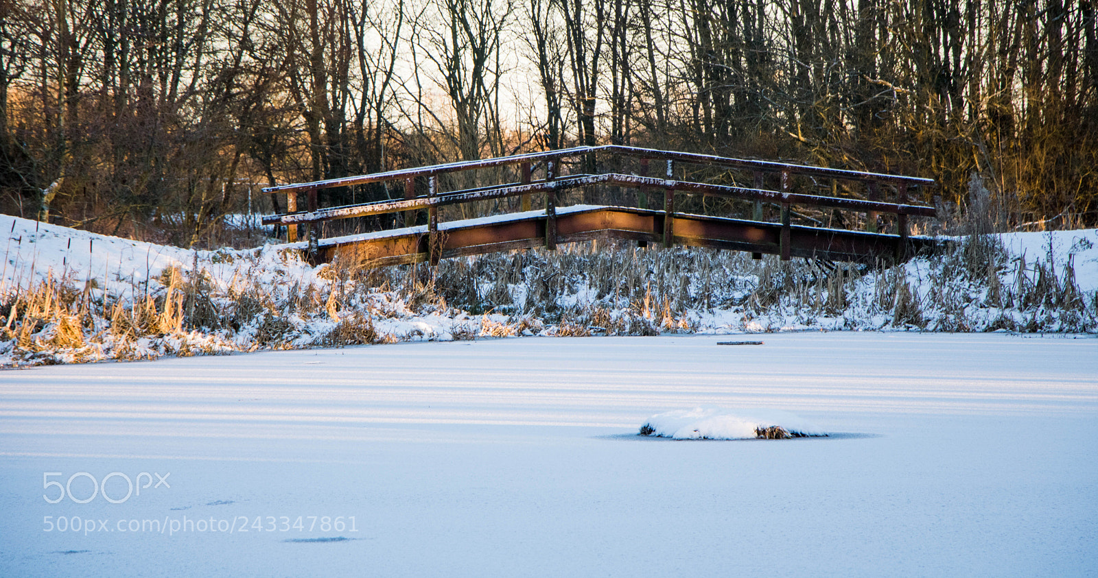 Canon EOS 760D (EOS Rebel T6s / EOS 8000D) sample photo. Stenton pond photography